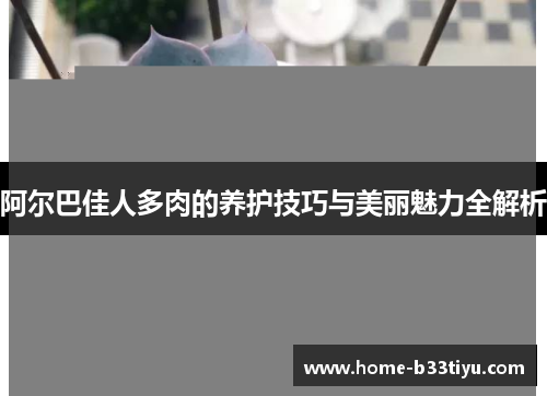 阿尔巴佳人多肉的养护技巧与美丽魅力全解析